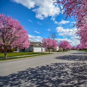 spring cleaning air ducts 