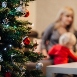 Improve indoor air quality for the holidays 